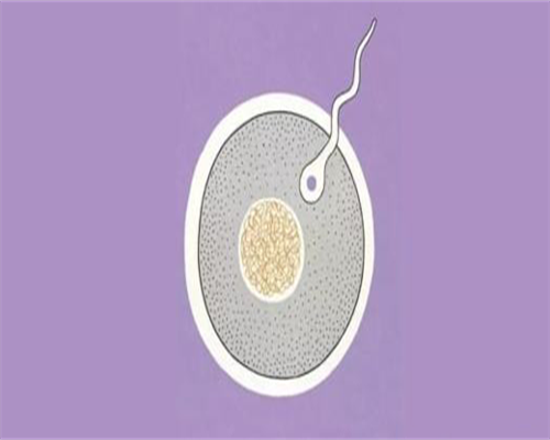 代怀试管：孕妇胃疼吃什么药好？