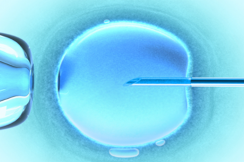 怎样才能让试管供卵收费吗成功率高,附医院排名!