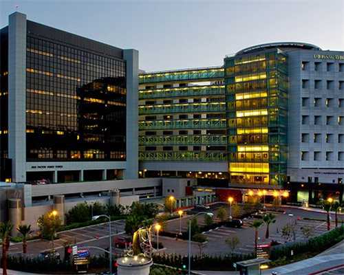 代生代怀费用囊胚鲜胚冻胚的区别是什么？鲜胚移植VS冻胚移植，哪个成功率高