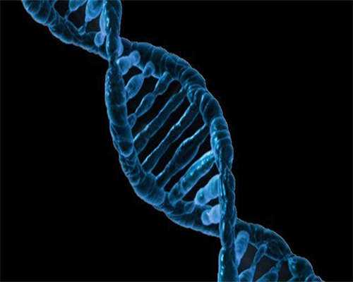 做试管婴儿取卵吃什么好