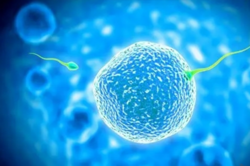 青海二代代生公司助孕的费用是多少，这十大机构费用都可报销