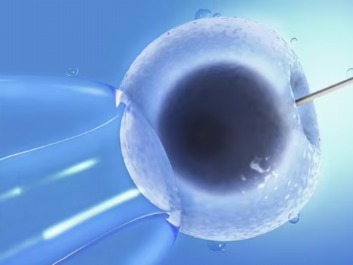 第三代试管婴儿要花多少钱？成功率一样吗