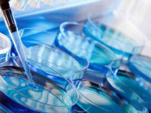 试管代生群:子宫内膜薄是不是卵巢早衰(子宫内膜薄会是卵巢早衰的现象吗)