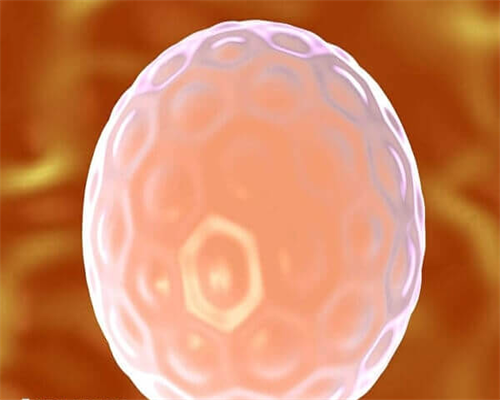 试管婴儿步骤！一次性说清！