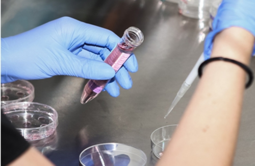 二代试管代生套餐形成胚胎的几率大吗?