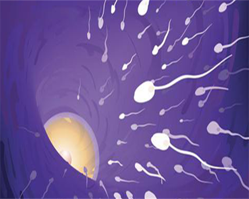 代生孩子包男孩囊胚培养成功率高并不是谣言?附代生孩子包男孩步骤花销!