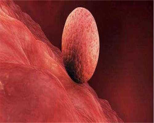 清远私立做三代找人做代生多少钱价格表？流程是怎样的！