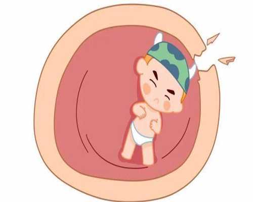 做试管检查完了下一步要干嘛,做试管婴儿检查完之后做什么