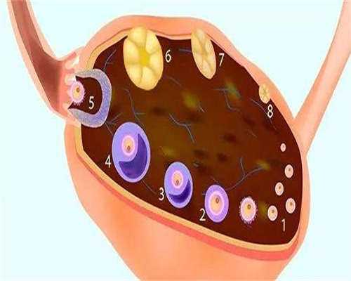 代生全程价格长效和拮抗剂方案的区别?用药和促排时间明显有差别!