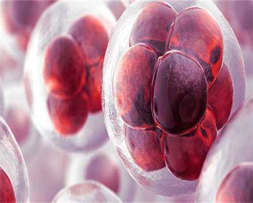 合肥第二代甘肃借卵子代生技术的费用是多少钱!费用在多少!