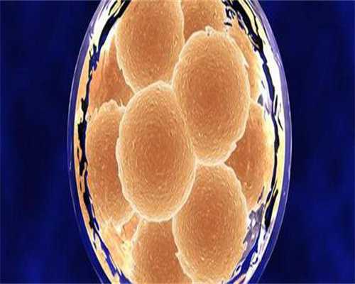 代生网选性别：福州三代试管婴儿选性别生男孩价格多少？成功率高吗？