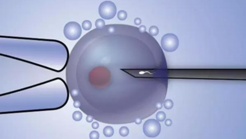 天津三代正规代生网医院公布内附正规代生网成功率介绍，15万费用够吗？