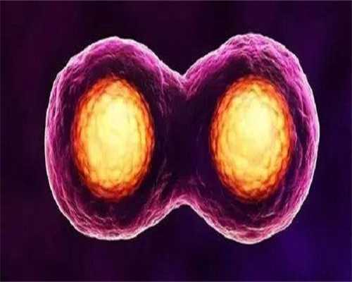 福州供卵生育公司,福州试管婴儿产子费用-福州试管婴儿产子费用报销