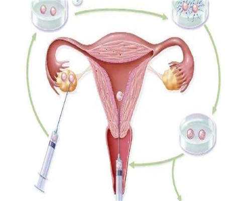 贵阳市妇幼保健院试管供精供卵医院？贵阳市妇幼保健院二代试管供精供卵医院