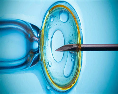 在日本做最靠谱代生价格参考