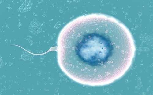 福州专业生殖机构_包成功0风险,福州试管婴儿成功率比较高的医院都有哪些