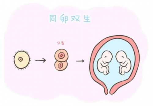 每一代试管费用高吗