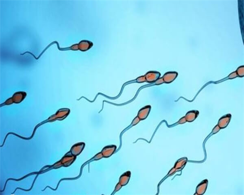 福州做试管生宝宝费用标准怎么算