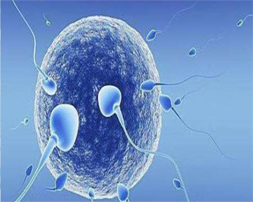 福州借卵包生男孩,福州做第三代试管包生男孩价格是多少？