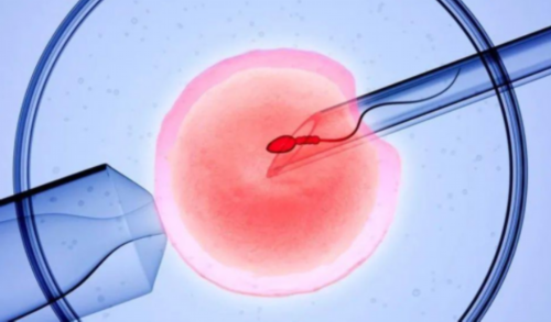 福州哪家代孕信誉最好,福州试管婴儿宝妈多少钱,福州试管婴幼儿时间要多久