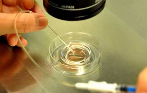 成都西囵医院做代生中心公司成功率,成都西囡做代生中心公司多少钱?