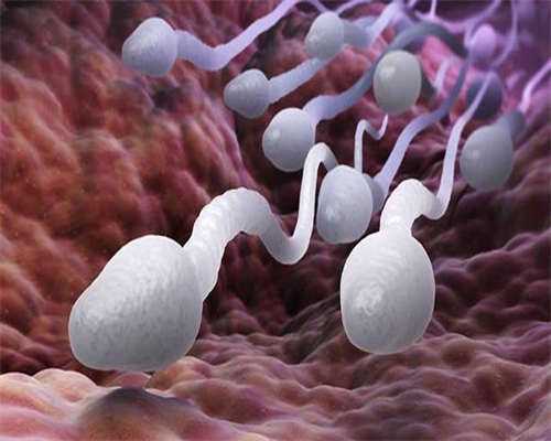 国内供卵公司排名_正规试管代孕中心,鲜胚移植（鲜胚着床成功率）