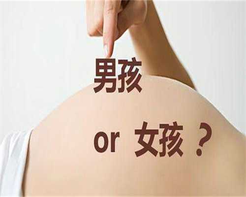 正规代怀费用：备孕期间可以拔火罐暖宫吗