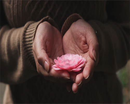 零风险百分百包成功代孕_同性国内试管婴儿,7号染色体决定什么（无脑儿和染色