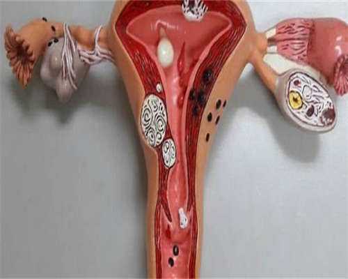 2026南宁三代找代生多少钱助孕合法吗(南宁三代找代生多少钱费用明细)