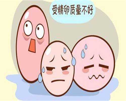 福州代生付费方式,福州想要怀个儿子能做三代试管助孕吗(福州三代试管婴儿