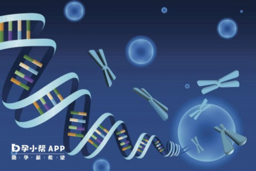 做试管婴儿促排停针(试管促排终止)