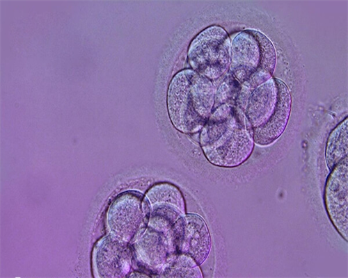 福州最好代孕机构,从福州去乌克兰做试管套餐费用(去乌克兰做试管婴儿攻略