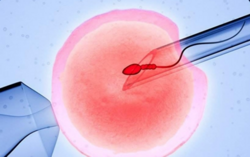 恶露不尽和月经怎么区分（恶露与月经的区别）