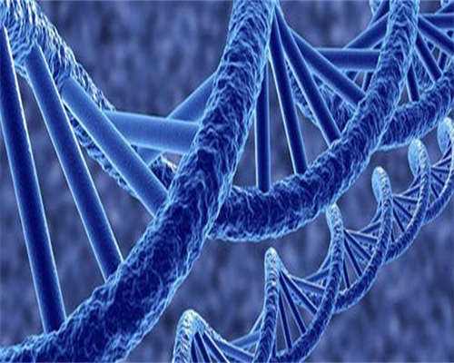 福州代孕网哪个正规,福州三代试管婴儿较好医院,附医院成功率!