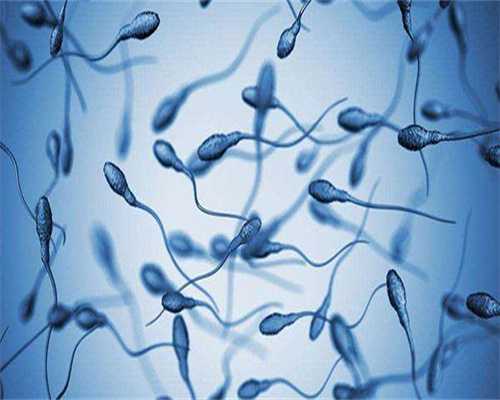 代生孩子服务：试管婴儿6个月早产健不健康看这注意这些细节存活率高