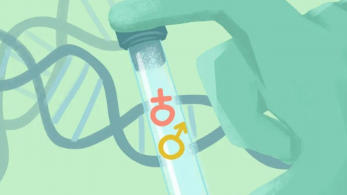 福州哪家做试管婴儿成功率高?选择试管婴儿医院的标