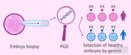 代怀公司服务：如何区别恶露和月经,产后恶露不净的注意事项
