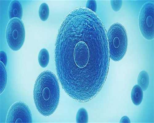 供卵试管代孕在哪里可以做_国家供卵要求是什么,【康力士dhea青春素说明书】康