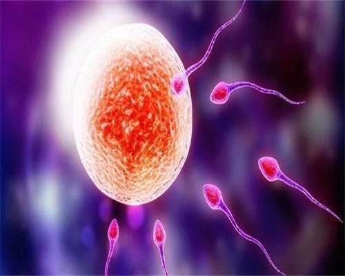 卵巢早衰严重代生男孩零风险成功案例