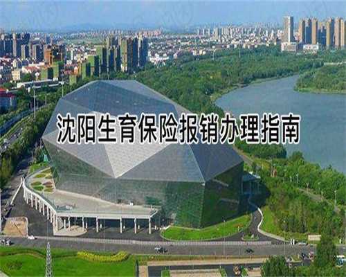 代孕产子中心哪里最专业_70万包性别包男孩助孕套餐,试管婴儿移植术后多久着