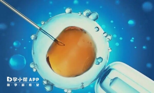 代怀价格表：孕妇酮体低对胎儿有什么影响?​怀孕孕酮低怎么才能提高?