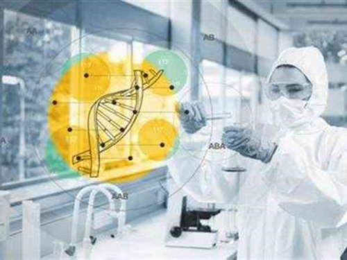 最好试管代怀：有一项促甲状腺素受体抗体值高是什么病影响怀孕