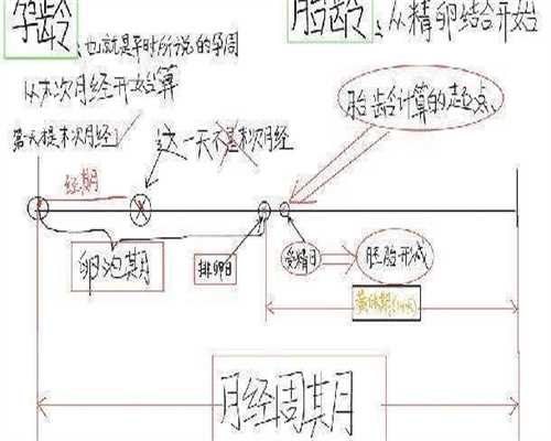 扬州比较出名靠谱代生医院网上咨询方式,因为我们有答案